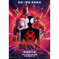 蜘蛛人：穿越新宇宙